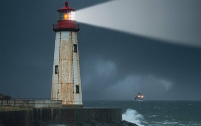 La funzione della consulenza, come faro-guida, illustrata con il paradosso dei cammelli